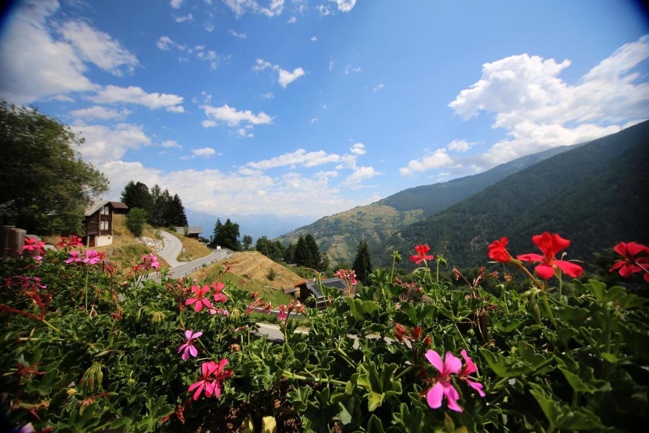 Bleusydyllique Panzió Nendaz Kültér fotó